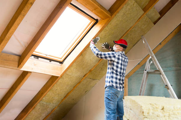 Best Spray Foam Insulation  in Battle Creek, NE